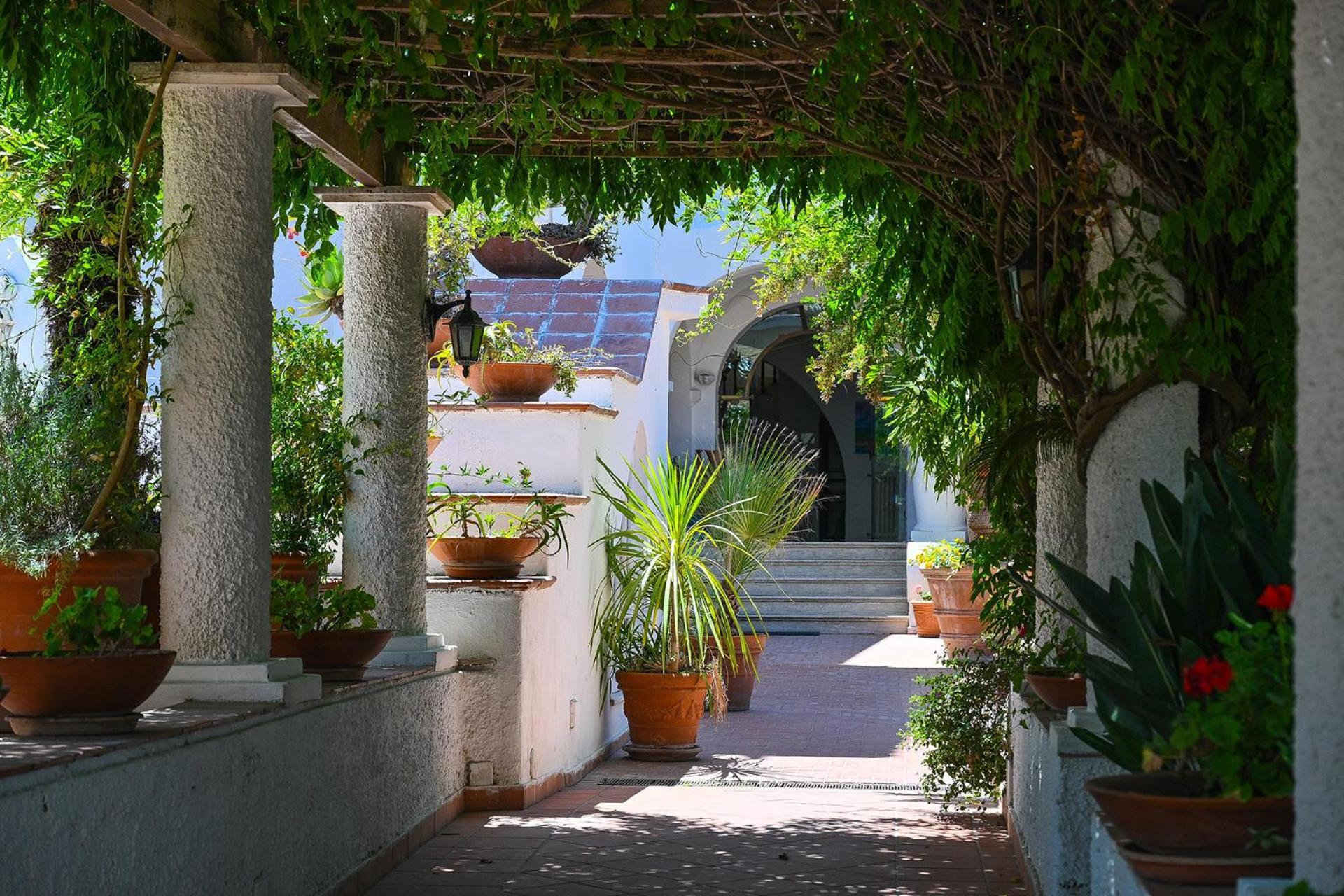 Av Club Terme Colella 호텔 Forio di Ischia 외부 사진
